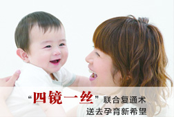四镜一丝
