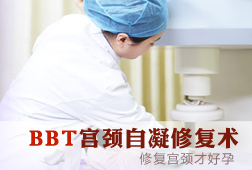 四镜一丝